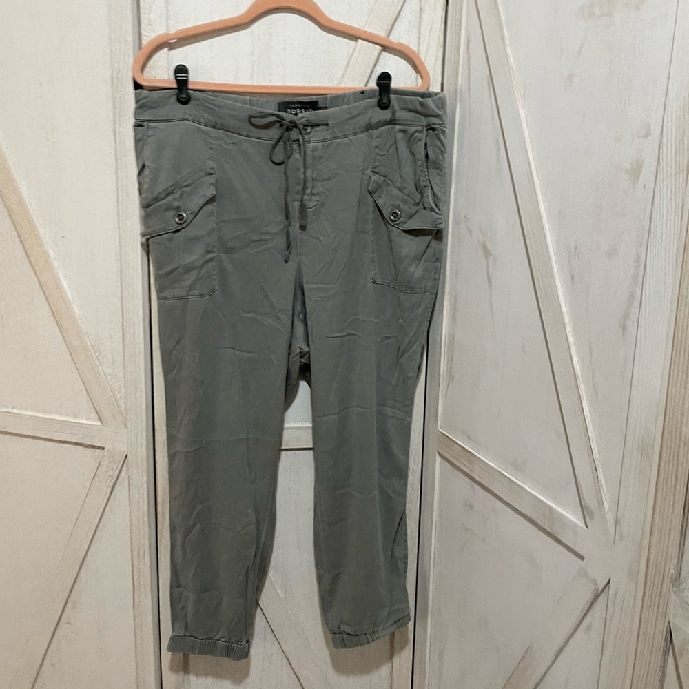 EUC Torrid premium lightweight gray jogger 18